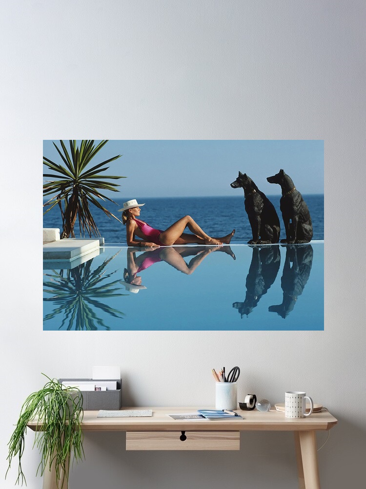 Retro Poolside Host Luxury Lif - Luxury Lifestyle Picture avis et prix