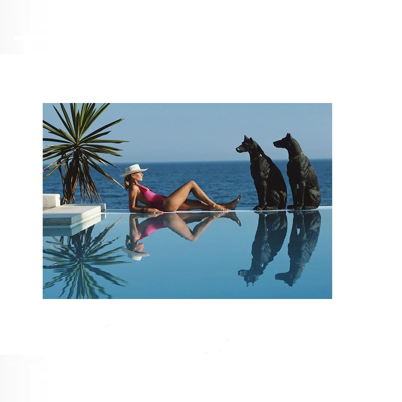 Retro Poolside Host Luxury Lif - Luxury Lifestyle Picture avis et prix